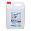 Hand Gel Practic 4L