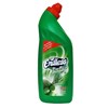 Endless Pine Fresh Υγρό WC 750ml