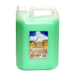 Natif Σαμπουάν 4L